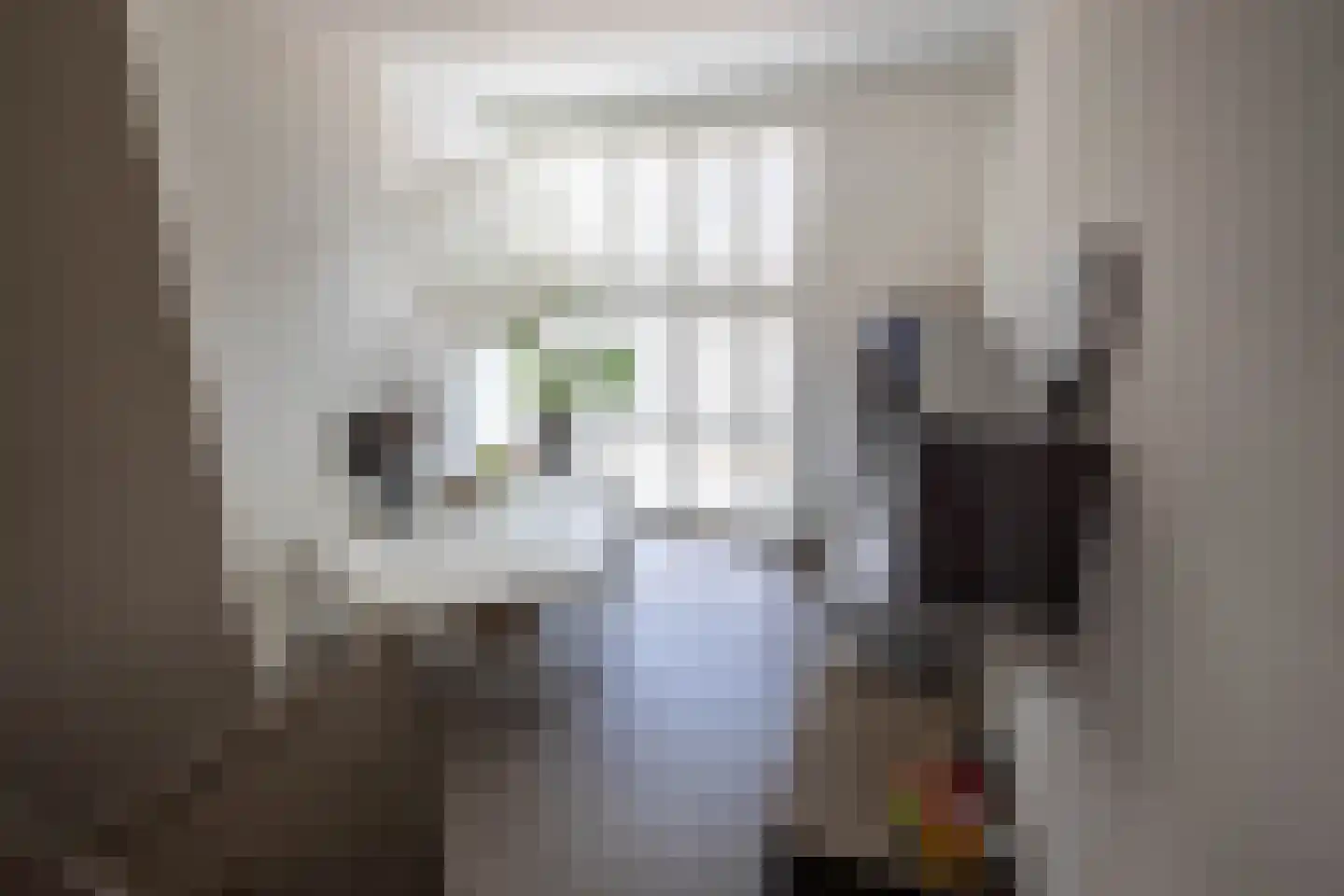 Seringenstraat 22 Aalsmeer thumbnail 4
