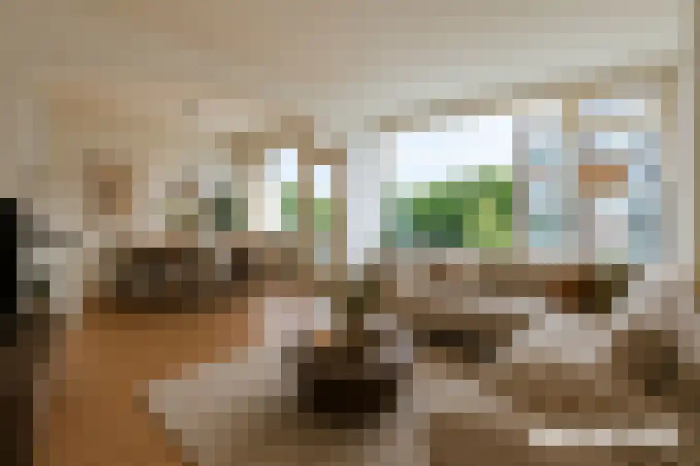 Seringenstraat 24 Alphen aan den Rijn thumbnail 13