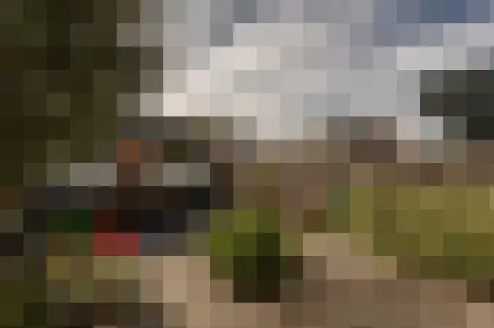 Seringenstraat 24 Oud-Beijerland thumbnail 31