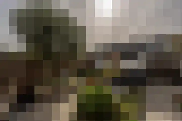 Seringenstraat 24 Oud-Beijerland thumbnail 32