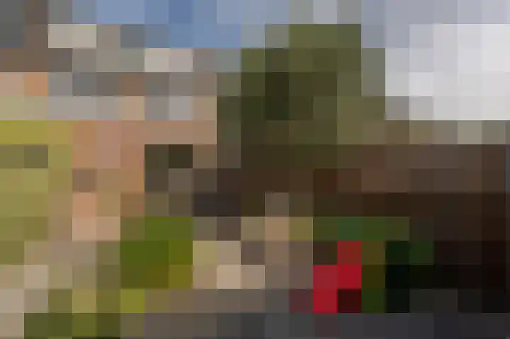 Seringenstraat 24 Oud-Beijerland thumbnail 33
