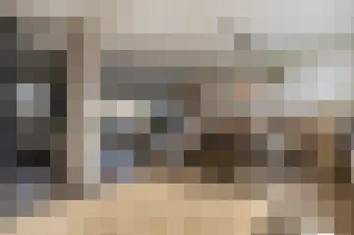 Seringenstraat 24 Oud-Beijerland thumbnail 8