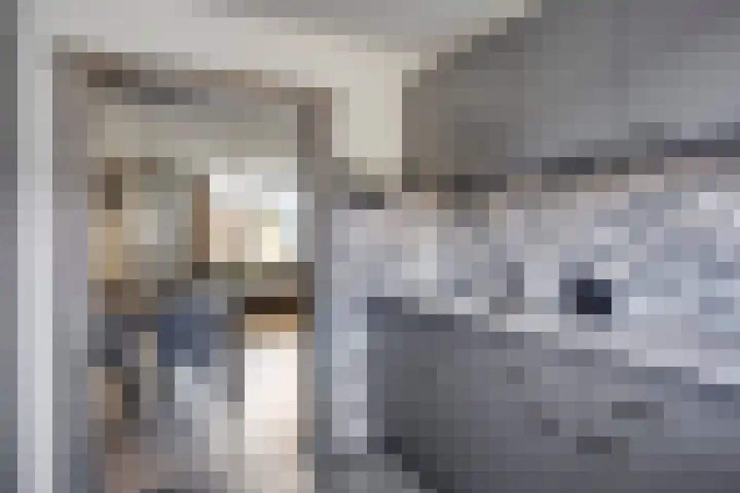 Seringenstraat 25 Opheusden thumbnail 10