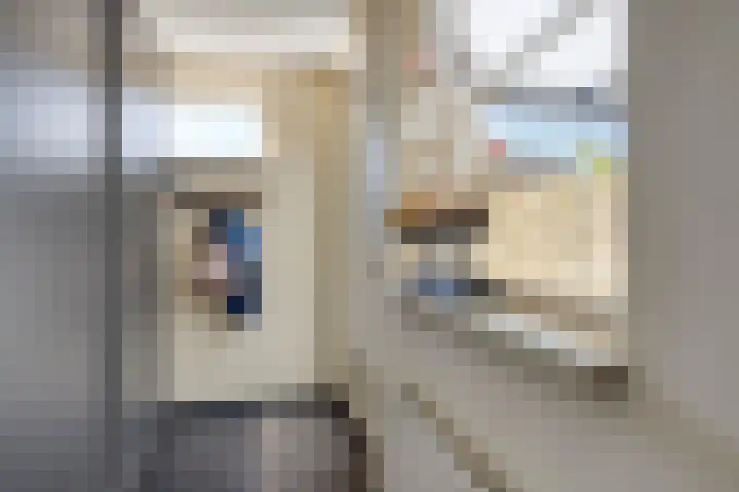 Seringenstraat 25 Opheusden thumbnail 11