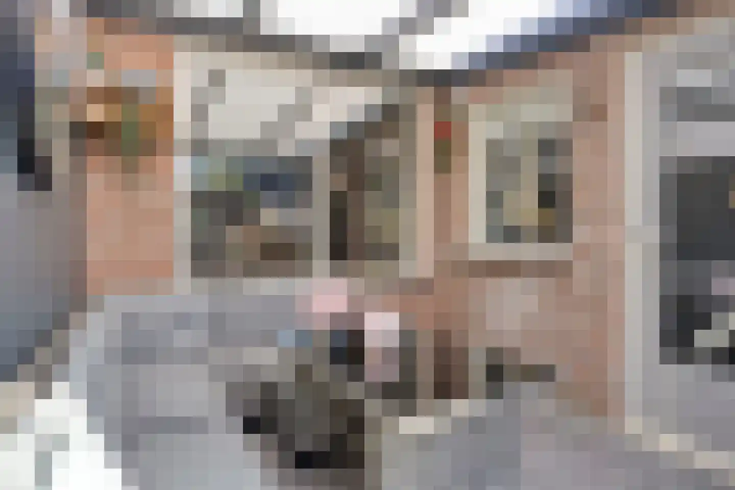 Seringenstraat 25 Opheusden thumbnail 13