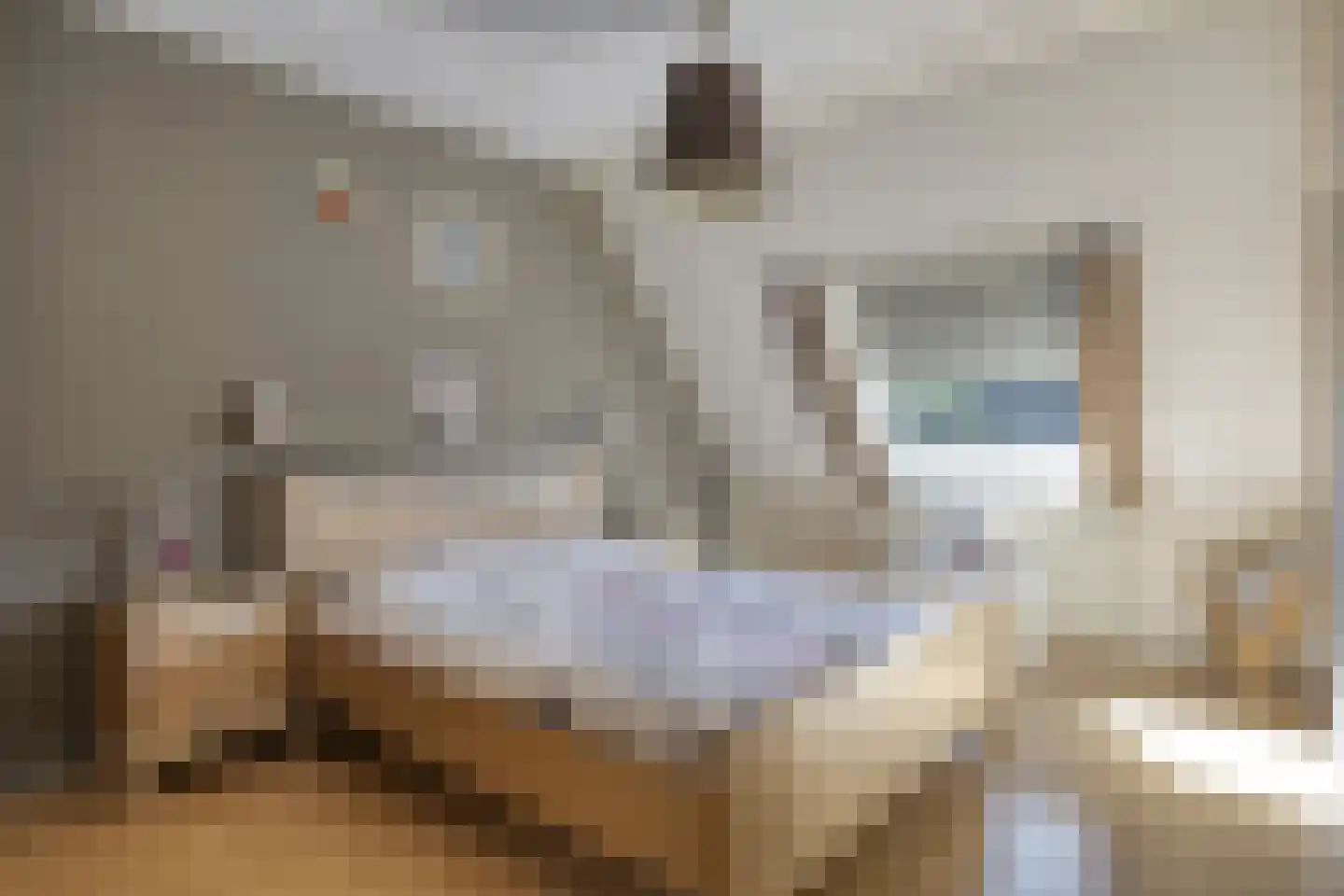 Seringenstraat 25 Opheusden thumbnail 16