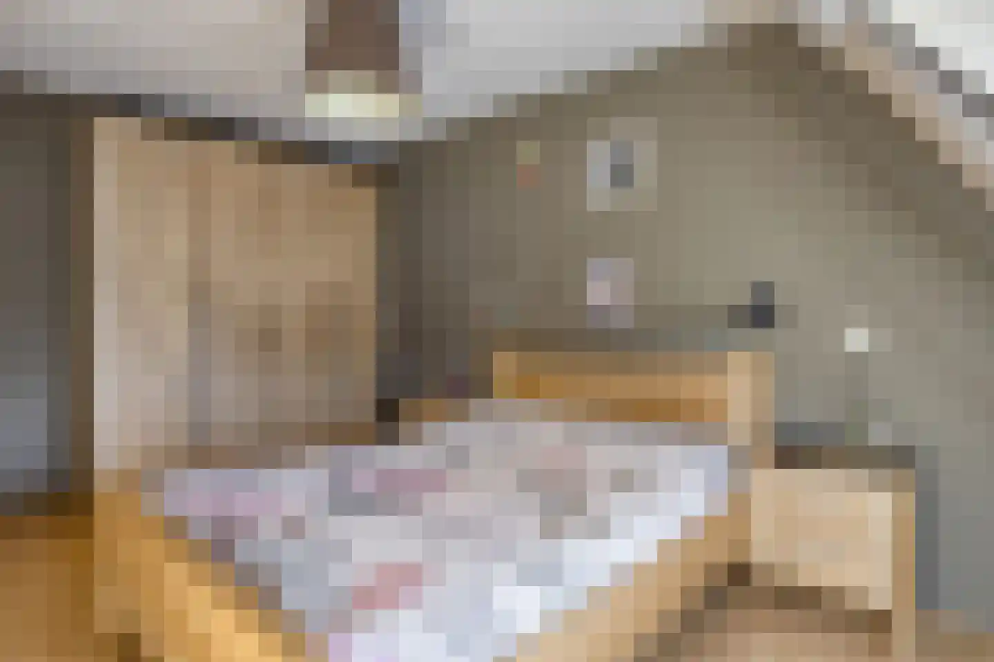 Seringenstraat 25 Opheusden thumbnail 17