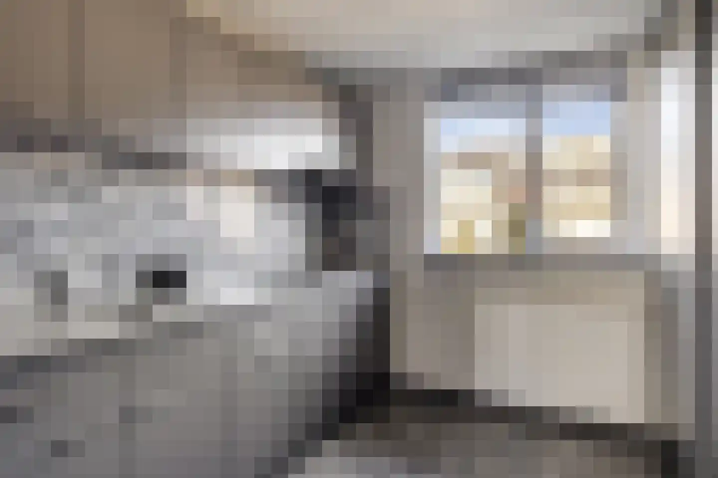 Seringenstraat 25 Opheusden thumbnail 4