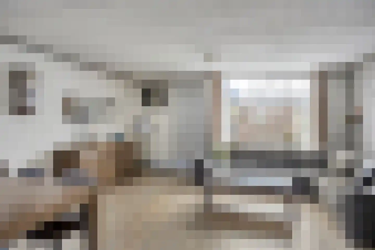 Seringenstraat 25 Opheusden thumbnail 5