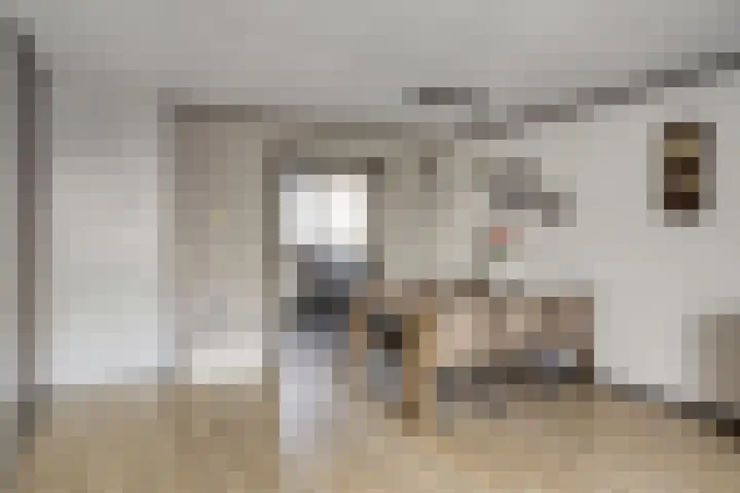 Seringenstraat 25 Opheusden thumbnail 8