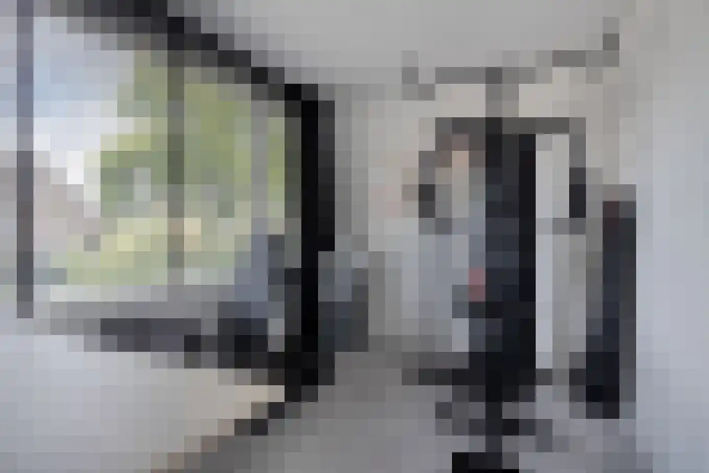 Seringenstraat 25 Rosmalen thumbnail 21
