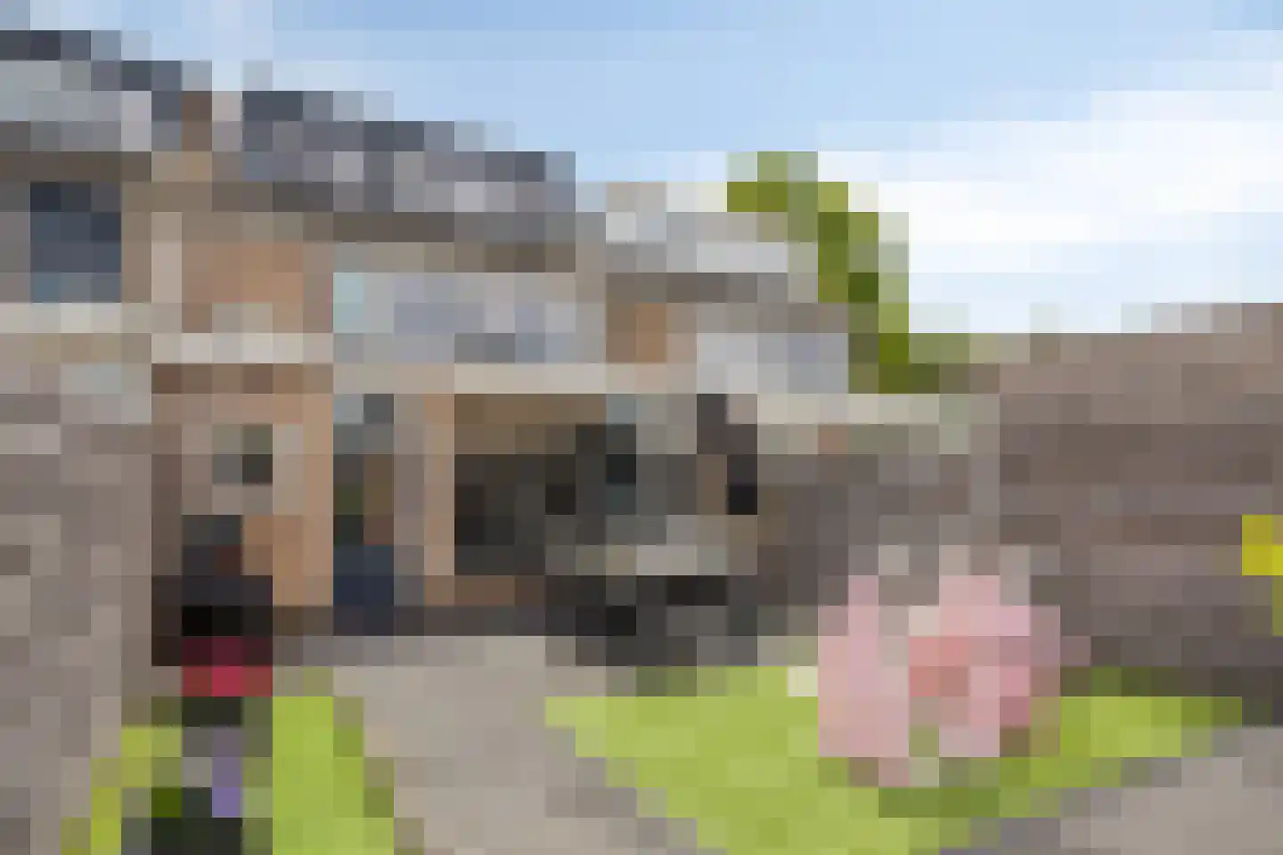 Seringenstraat 25 Rosmalen thumbnail 32