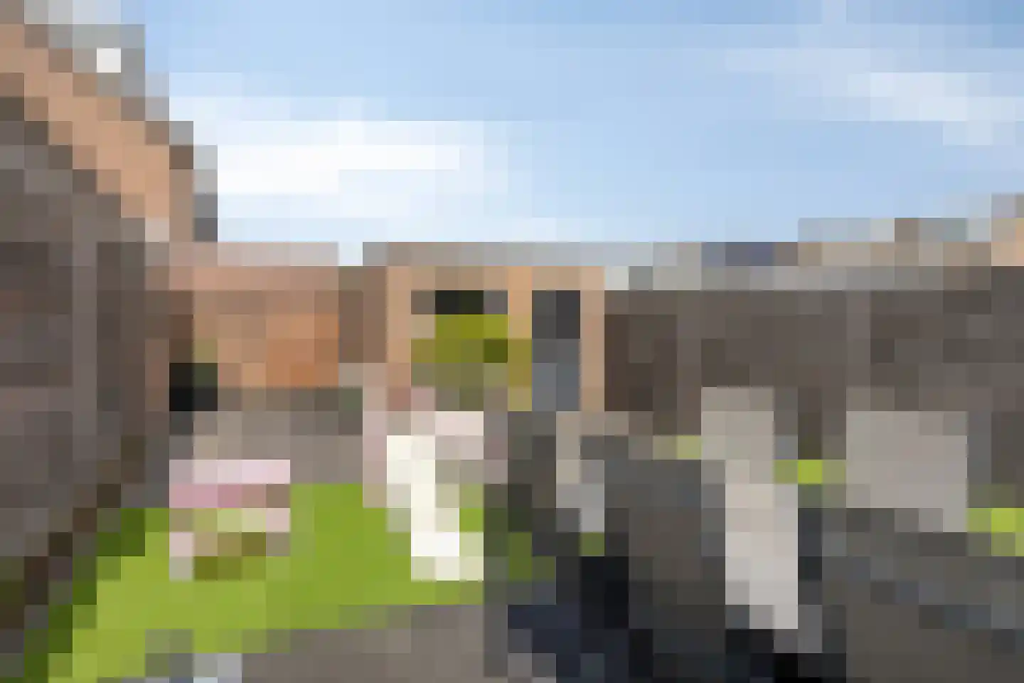 Seringenstraat 25 Rosmalen thumbnail 5
