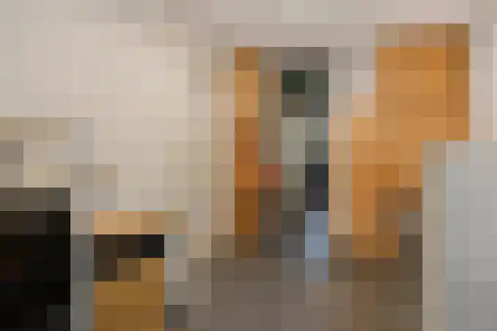 Seringenstraat 27 Ridderkerk thumbnail 11