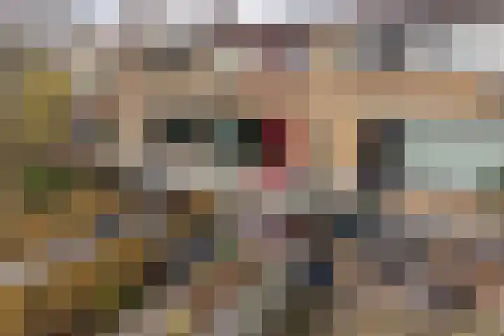 Seringenstraat 27 Ridderkerk thumbnail 17
