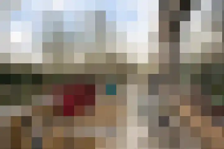 Seringenstraat 27 Ridderkerk thumbnail 30