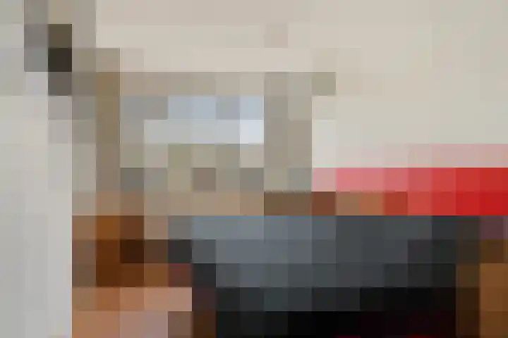 Seringenstraat 27 Ridderkerk thumbnail 33