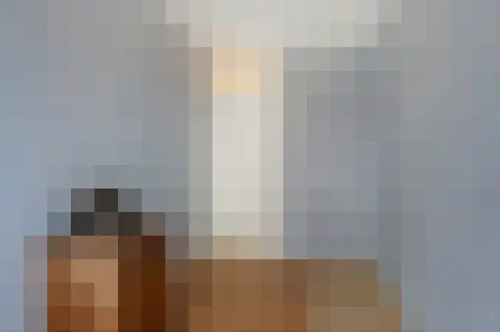 Seringenstraat 27 Ridderkerk thumbnail 38