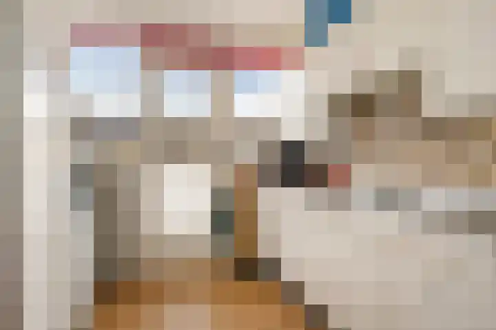 Seringenstraat 27 Ridderkerk thumbnail 4