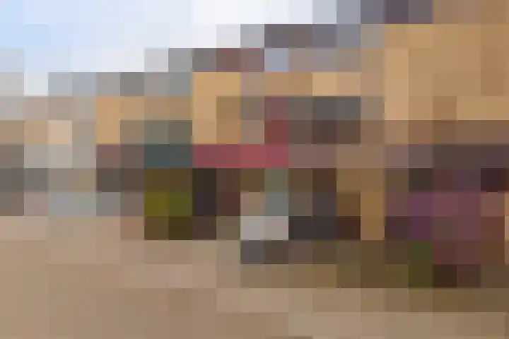 Seringenstraat 27 Ridderkerk thumbnail 42