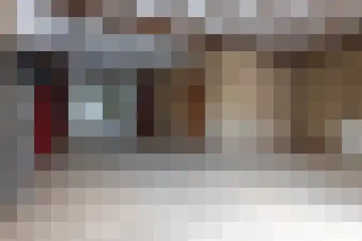 Seringenstraat 28 St. Willebrord thumbnail 18
