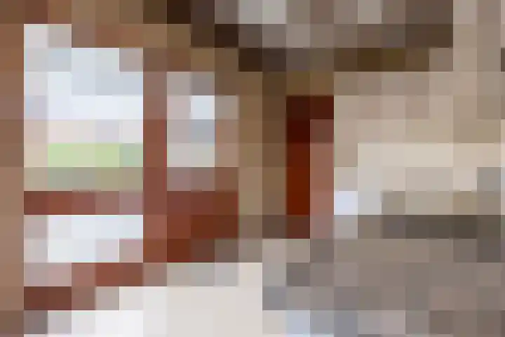 Seringenstraat 28 St. Willebrord thumbnail 22