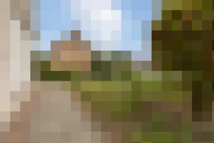 Seringenstraat 28 St. Willebrord thumbnail 6