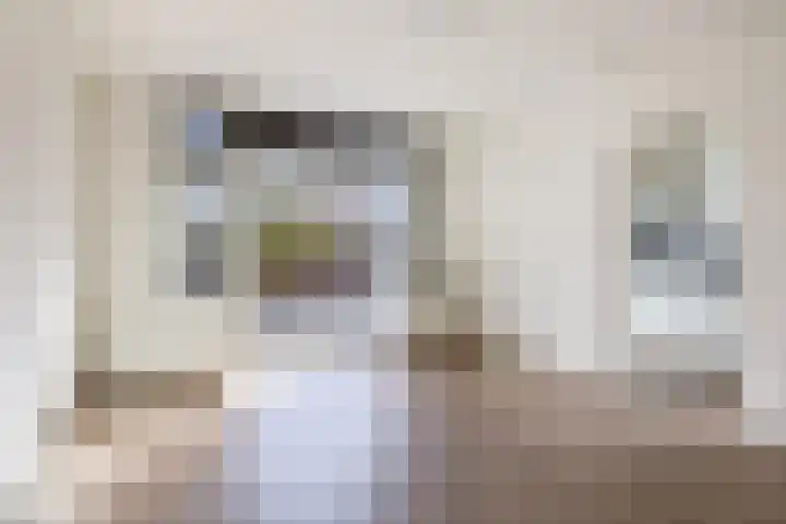 Seringenstraat 3 A Eindhoven thumbnail 16