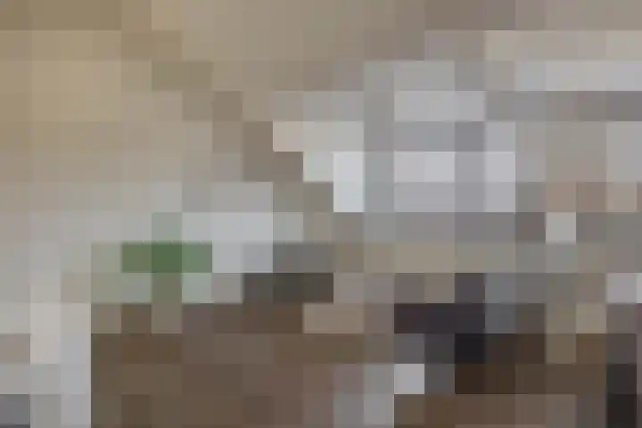 Seringenstraat 3 B Eindhoven thumbnail 7