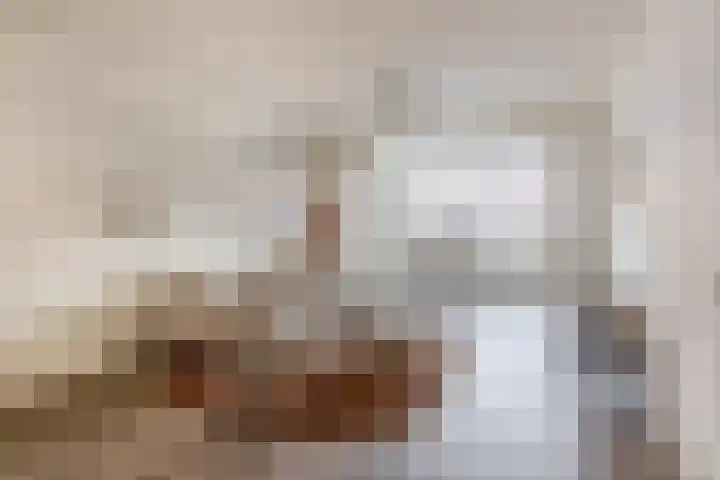 Seringenstraat 3 Eindhoven thumbnail 13