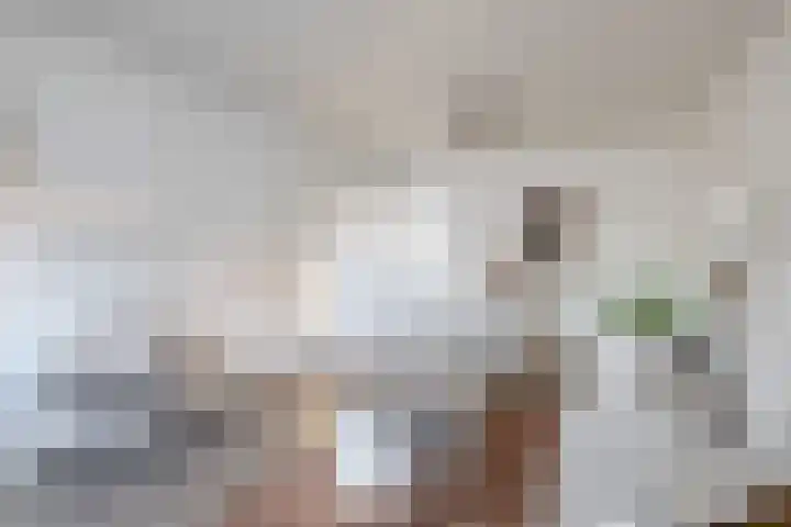 Seringenstraat 3 Eindhoven thumbnail 15