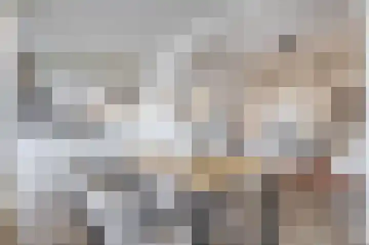 Seringenstraat 3 Eindhoven thumbnail 17