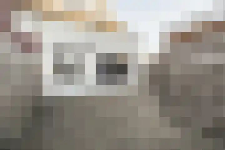 Seringenstraat 3 Eindhoven thumbnail 27