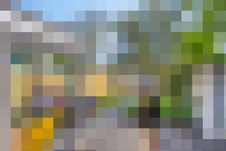 Seringenstraat 3 Valkenswaard thumbnail 15
