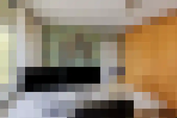 Seringenstraat 3 Valkenswaard thumbnail 23