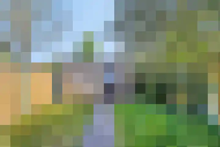 Seringenstraat 3 Valkenswaard thumbnail 31