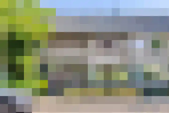 Seringenstraat 3 Valkenswaard thumbnail 39