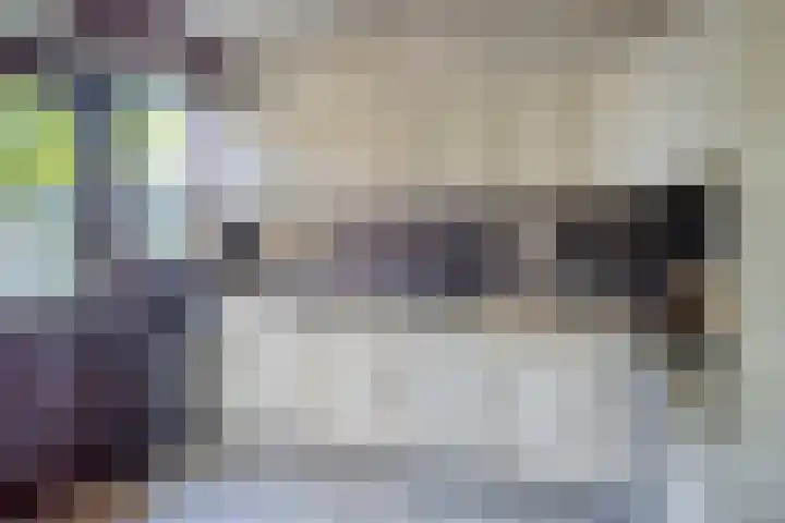 Seringenstraat 3 Valkenswaard thumbnail 9