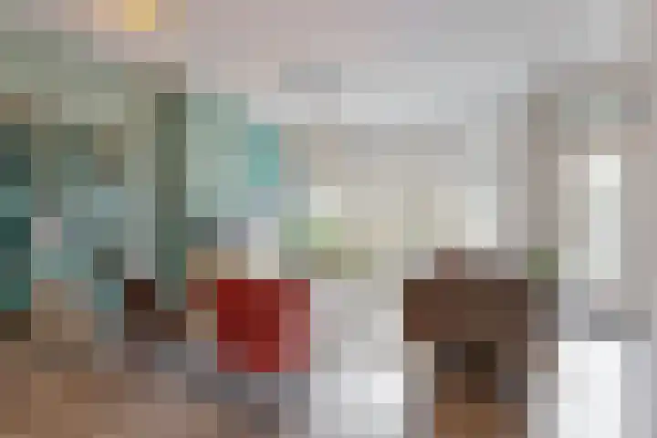 Seringenstraat 30 Alphen aan den Rijn thumbnail 8