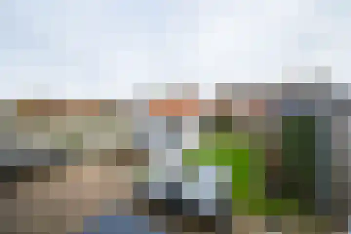 Seringenstraat 31 Winterswijk thumbnail 39