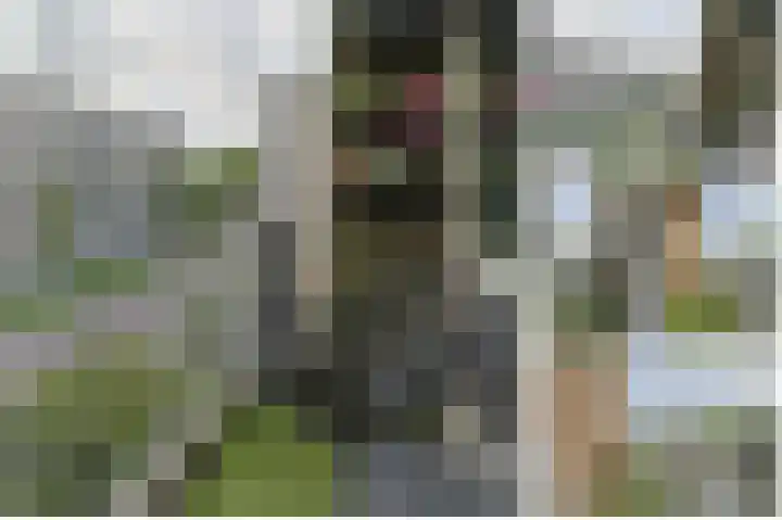 Seringenstraat 32 Alphen aan den Rijn thumbnail 31