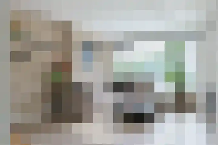 Seringenstraat 32 Alphen aan den Rijn thumbnail 8