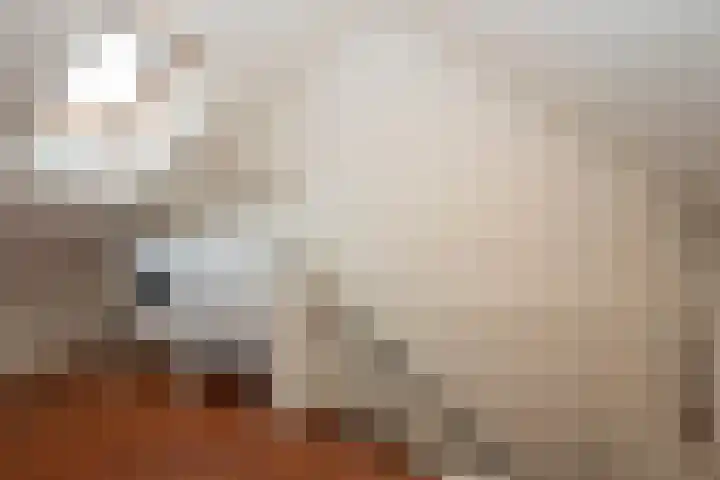 Seringenstraat 34 Borne thumbnail 31