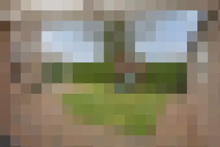 Seringenstraat 34 Borne thumbnail 35