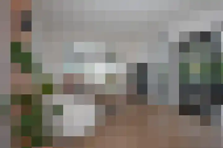 Seringenstraat 34 Borne thumbnail 7