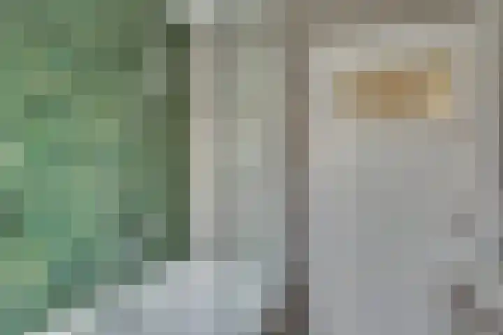 Seringenstraat 34 Zwolle thumbnail 30