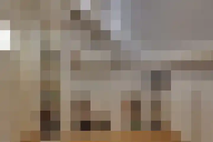Seringenstraat 34 Zwolle thumbnail 32