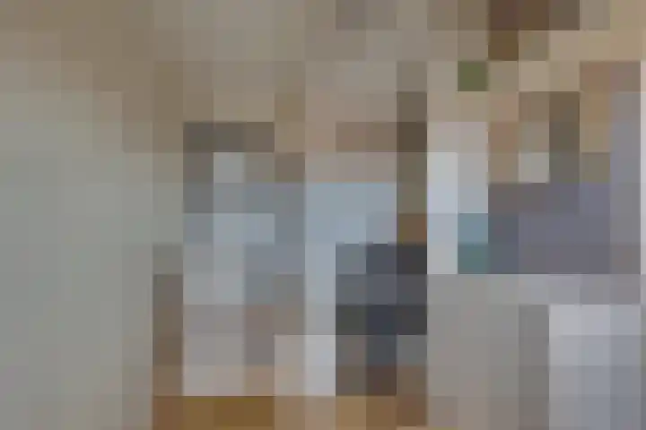 Seringenstraat 34 Zwolle thumbnail 33
