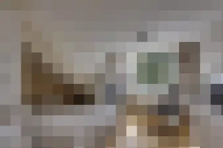 Seringenstraat 34 Zwolle thumbnail 35