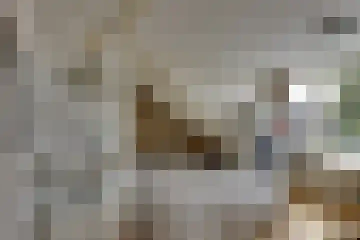 Seringenstraat 34 Zwolle thumbnail 36